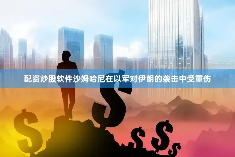 配资炒股软件沙姆哈尼在以军对伊朗的袭击中受重伤
