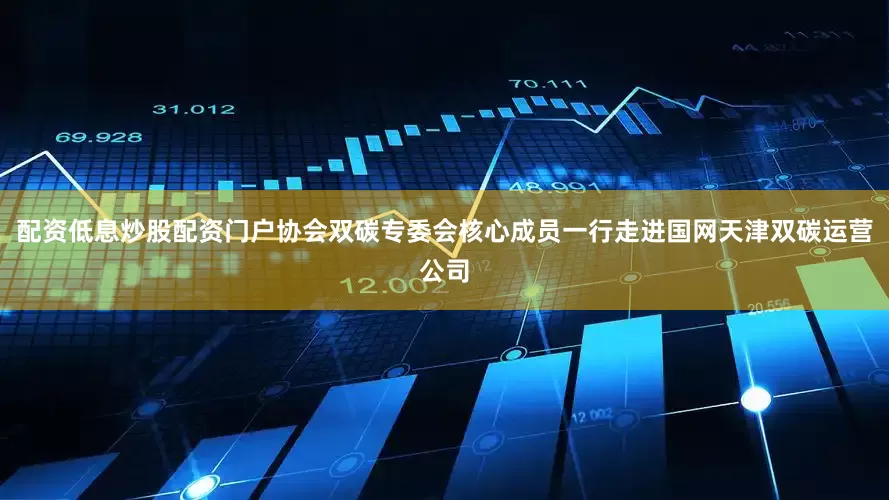 配资低息炒股配资门户协会双碳专委会核心成员一行走进国网天津双碳运营公司