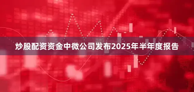 炒股配资资金中微公司发布2025年半年度报告
